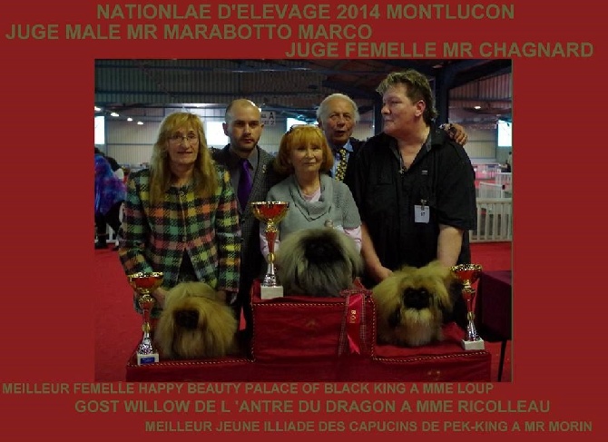 des Capucins de Pek King - NATIONALE D'ELEVAGE FRANCE 2014
